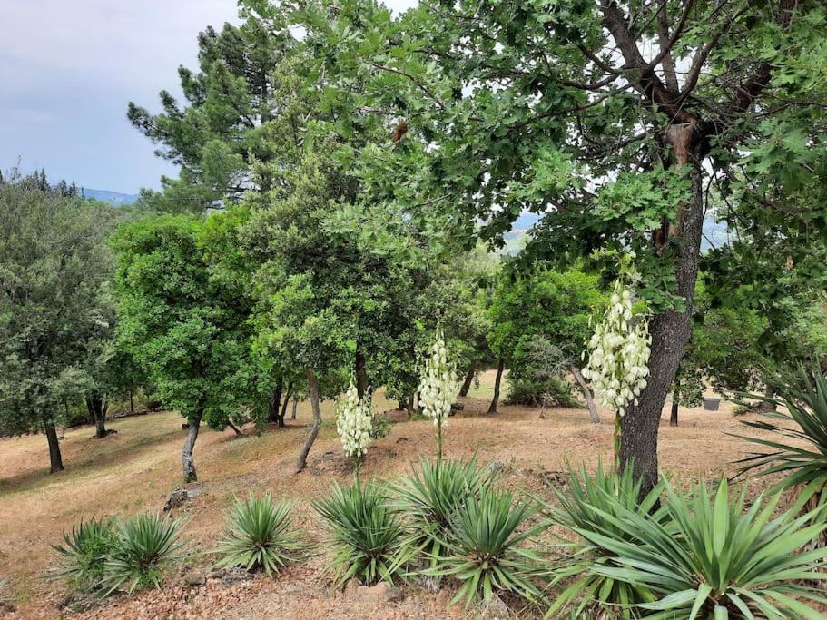 Villa Tutti I Colori Del Chianti Linari Esterno foto