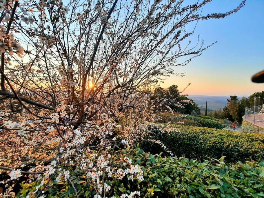 Villa Tutti I Colori Del Chianti Linari Esterno foto