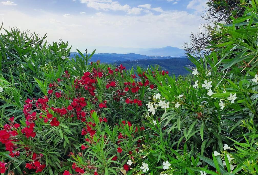 Villa Tutti I Colori Del Chianti Linari Esterno foto